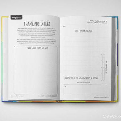 LOVE THIS! Teen Gratitude Journal + Wellness Guide – Create Your Own Sunshine from Awesome Inc - shop at littlewhimsy NZ