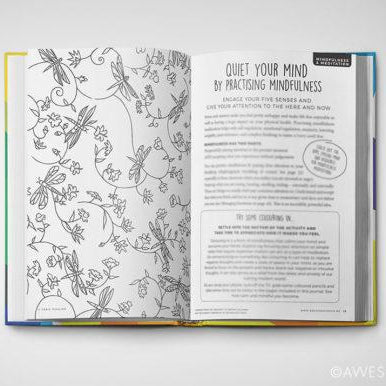 LOVE THIS! Teen Gratitude Journal + Wellness Guide – Create Your Own Sunshine from Awesome Inc - shop at littlewhimsy NZ