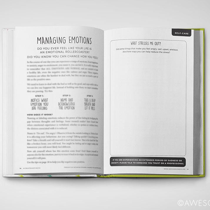 LOVE THIS! Teen Gratitude Journal + Wellness Guide – Create Your Own Sunshine from Awesome Inc - shop at littlewhimsy NZ