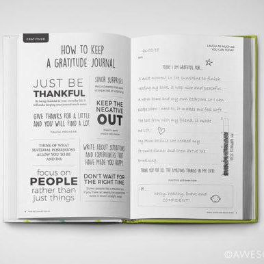 LOVE THIS! Teen Gratitude Journal + Wellness Guide – Create Your Own Sunshine from Awesome Inc - shop at littlewhimsy NZ