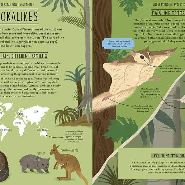LOVE THIS! Amazing Evolution - The Journey of Life from Penguin Books - shop at littlewhimsy NZ