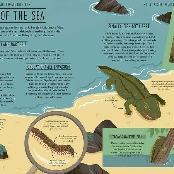 LOVE THIS! Amazing Evolution - The Journey of Life from Penguin Books - shop at littlewhimsy NZ