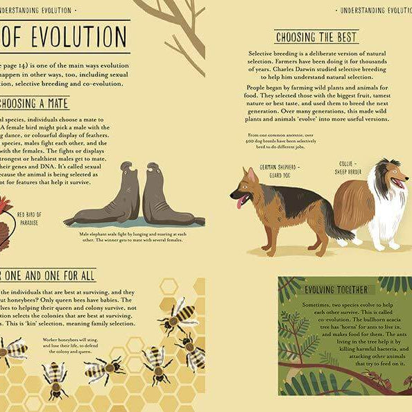 LOVE THIS! Amazing Evolution - The Journey of Life from Penguin Books - shop at littlewhimsy NZ