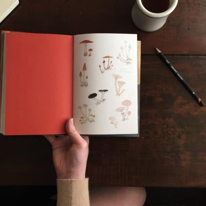 LOVE THIS! Snow & Rose from Penguin Books - shop at littlewhimsy NZ