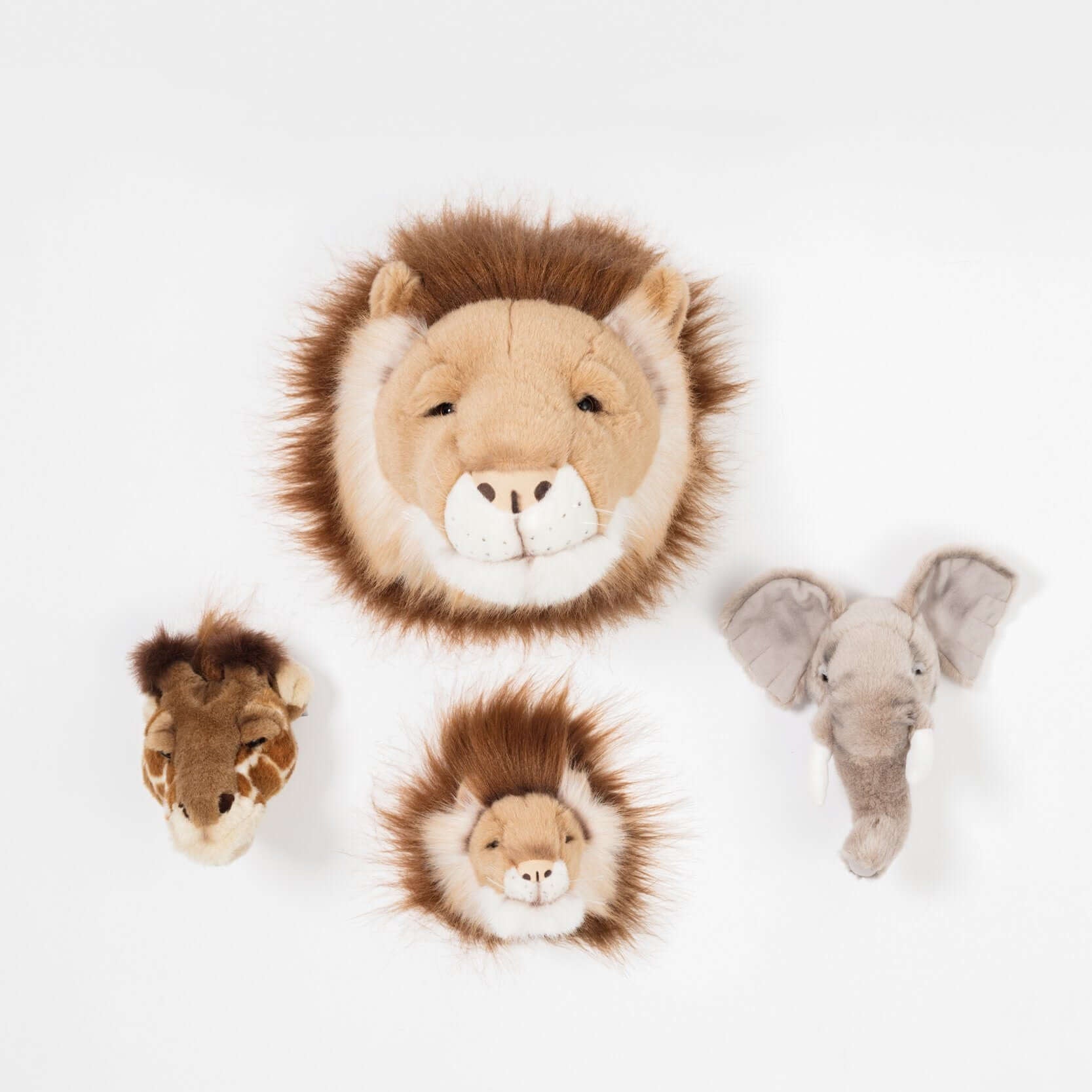 LOVE THIS! Cesar the Lion - Wild & Soft Animal Head Large from Wild & Soft - shop at littlewhimsy NZ