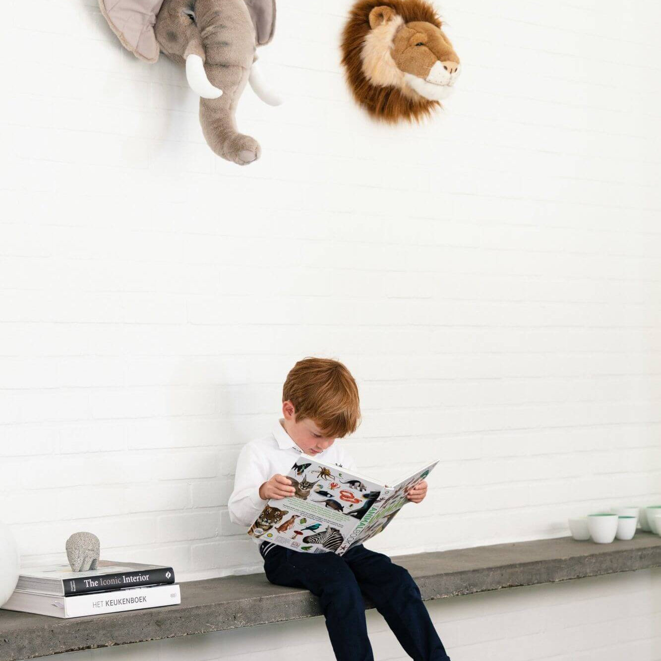 LOVE THIS! Cesar the Lion - Wild & Soft Animal Head Large from Wild & Soft - shop at littlewhimsy NZ