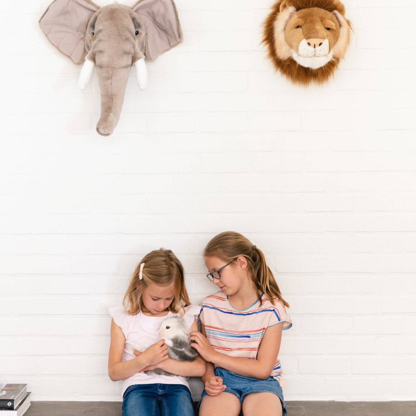 LOVE THIS! Cesar the Lion - Wild & Soft Animal Head Large from Wild & Soft - shop at littlewhimsy NZ