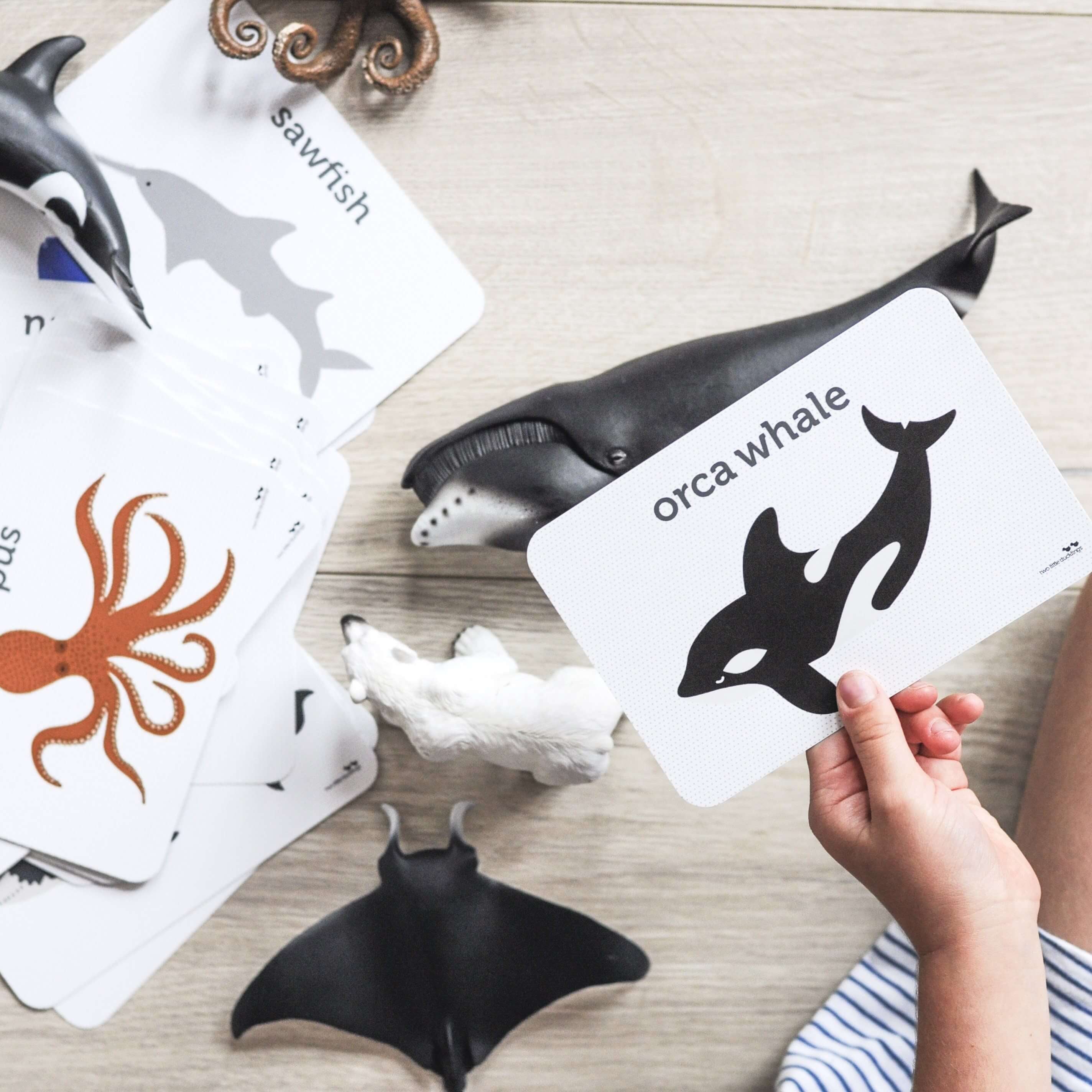 LOVE THIS! Flash Cards - Sea Life from Two Little Ducklings - shop at littlewhimsy NZ