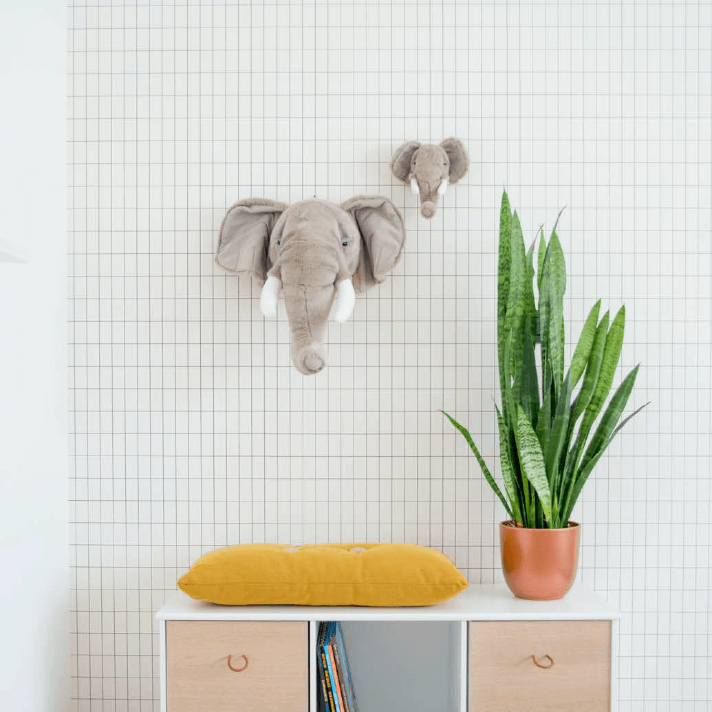 LOVE THIS! George the Elephant - Wild & Soft Animal Head Large from Wild & Soft - shop at littlewhimsy NZ