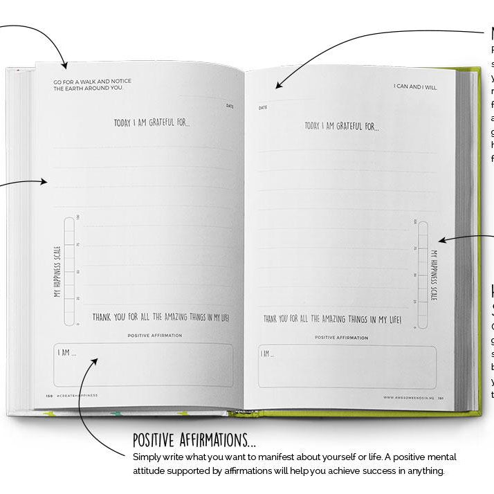 LOVE THIS! Teen Gratitude Journal + Wellness Guide – Create Your Own Sunshine from Awesome Inc - shop at littlewhimsy NZ