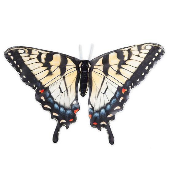 LOVE THIS! Beautiful Butterfly Wings Swallow Tail from Hearth Song - shop at littlewhimsy NZ