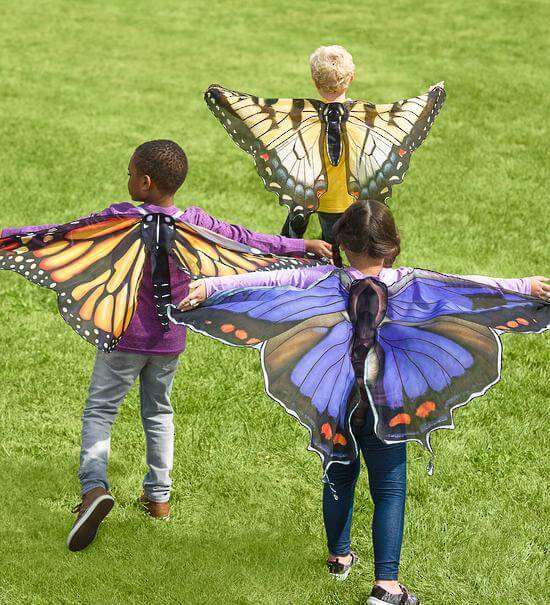 LOVE THIS! Beautiful Butterfly Wings Swallow Tail from Hearth Song - shop at littlewhimsy NZ