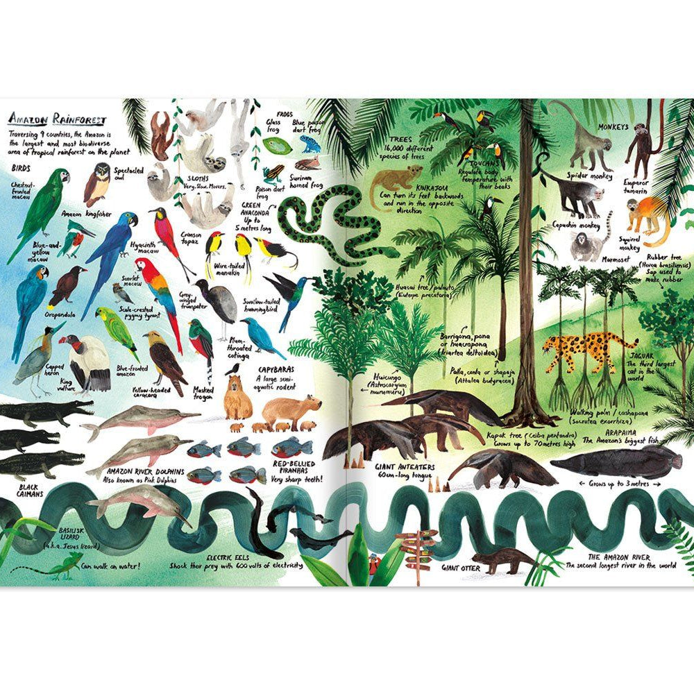 LOVE THIS! Lots from Penguin Books - shop at littlewhimsy NZ