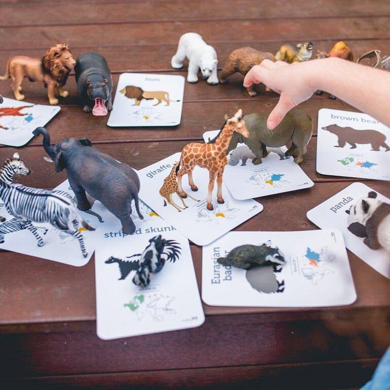 LOVE THIS! Flash Cards - World Animals from Two Little Ducklings - shop at littlewhimsy NZ