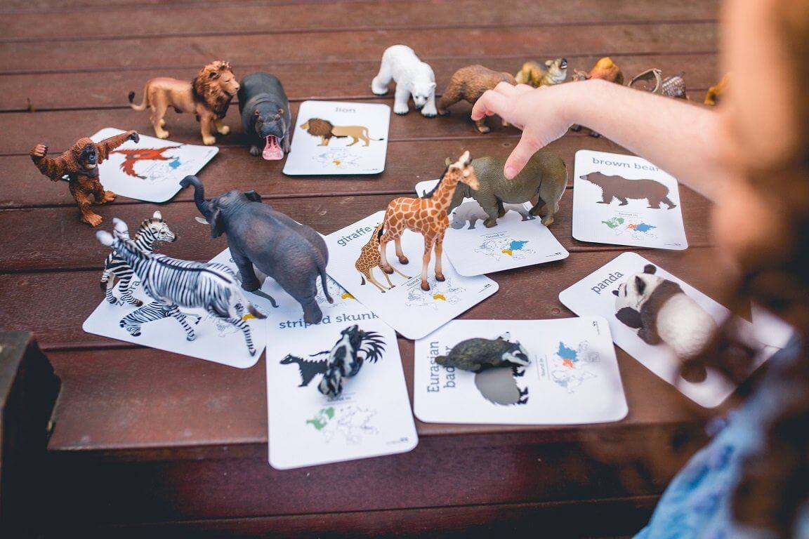 LOVE THIS! Flash Cards - World Animals from Two Little Ducklings - shop at littlewhimsy NZ