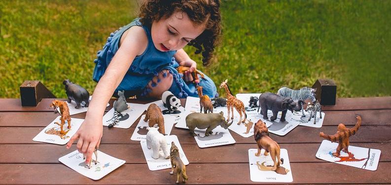 LOVE THIS! Flash Cards - World Animals from Two Little Ducklings - shop at littlewhimsy NZ