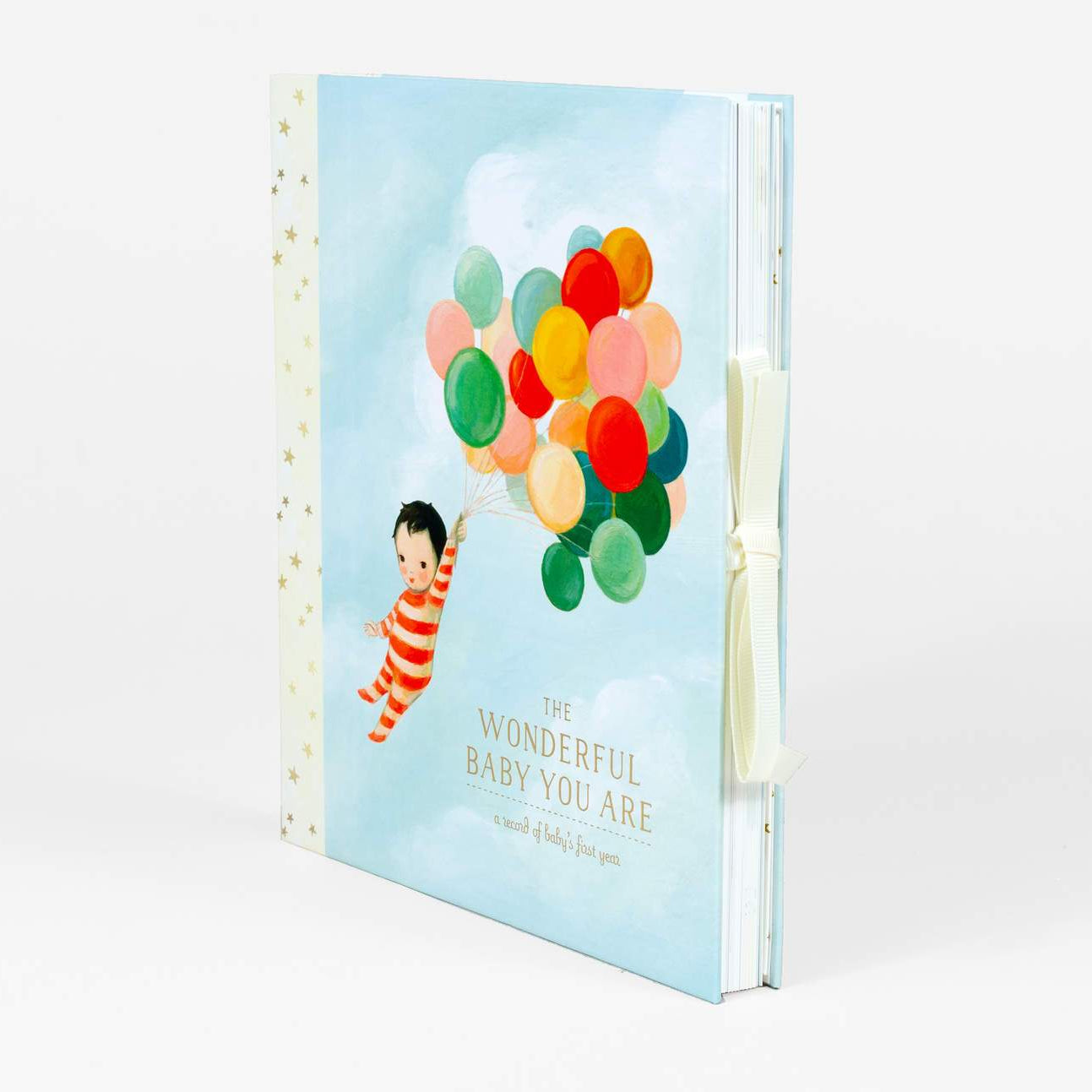 LOVE THIS! The Wonderful Baby You Are - A Record of Baby's First Year from Emily Winfield Martin - shop at littlewhimsy NZ