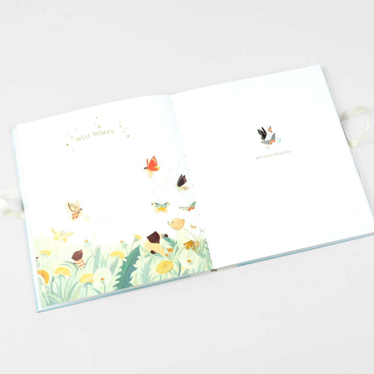 LOVE THIS! The Wonderful Baby You Are - A Record of Baby's First Year from Emily Winfield Martin - shop at littlewhimsy NZ