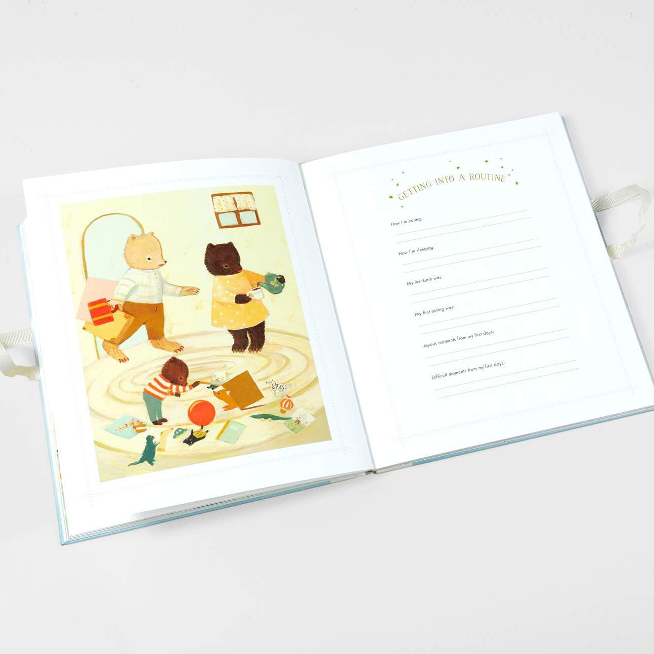 LOVE THIS! The Wonderful Baby You Are - A Record of Baby's First Year from Emily Winfield Martin - shop at littlewhimsy NZ