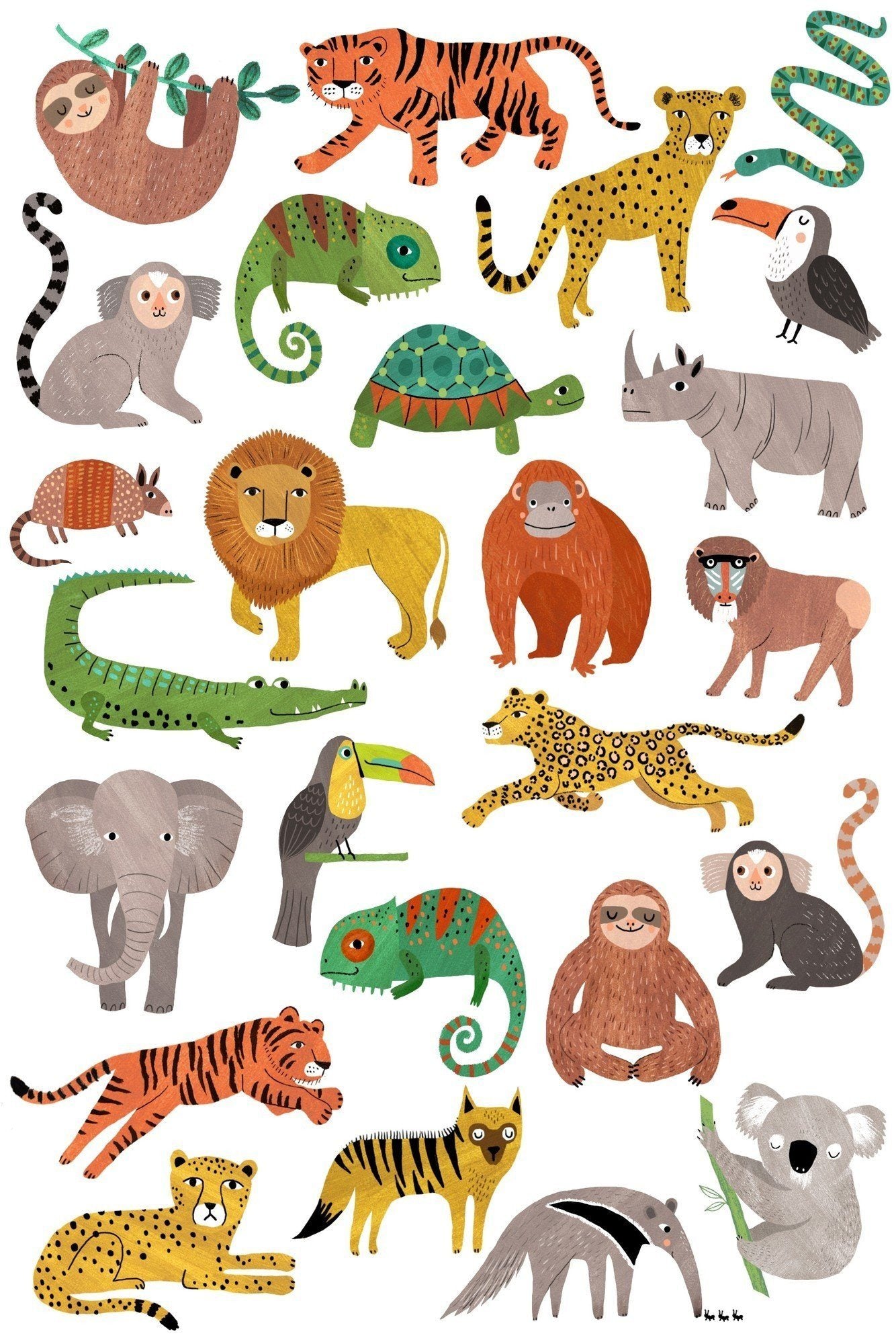 LOVE THIS! Tattoos Jungle Animals from Petit Monkey - shop at littlewhimsy NZ