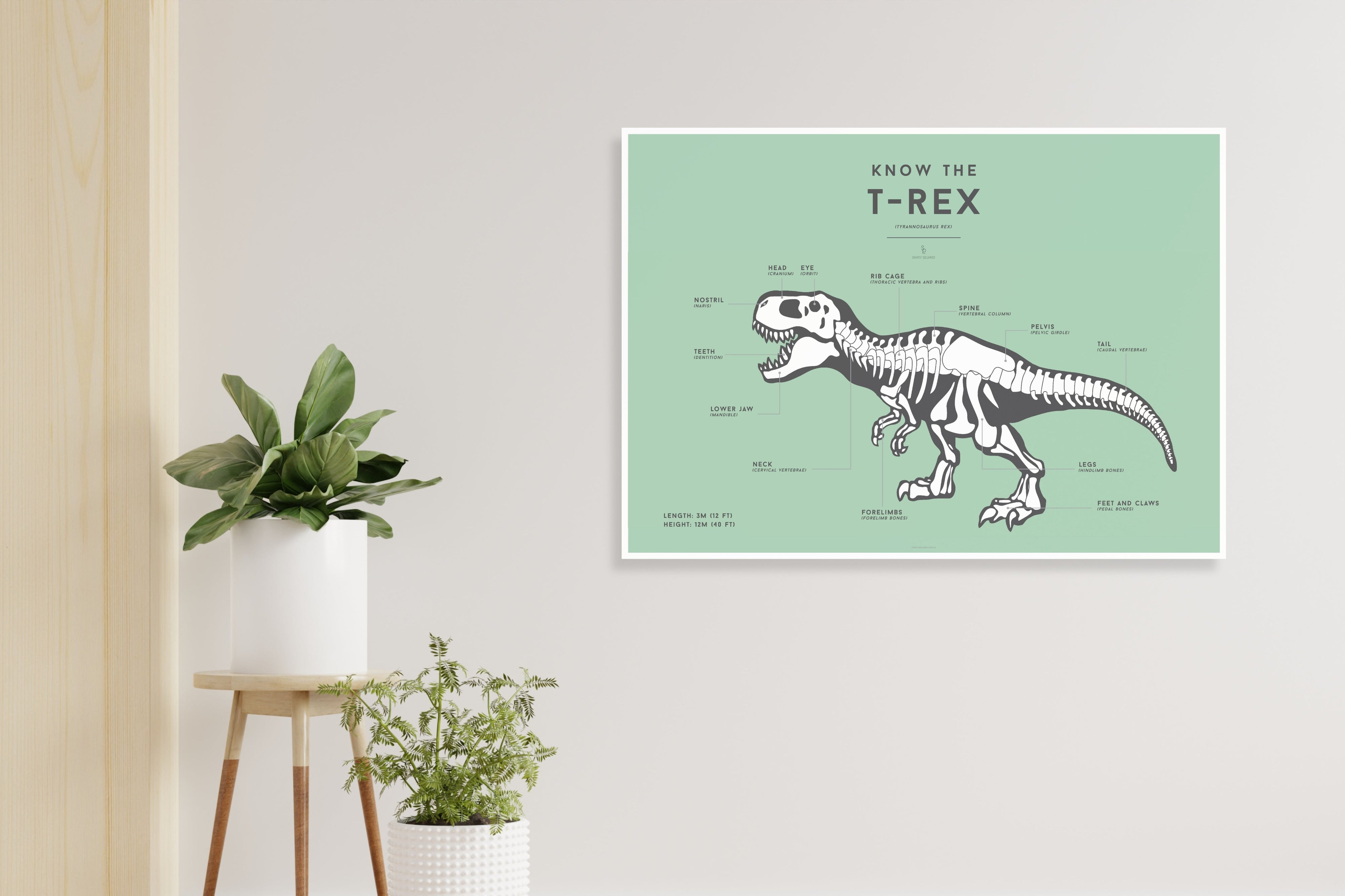 Squared Charts TRex (Tyrannosaurus) littlewhimsy
