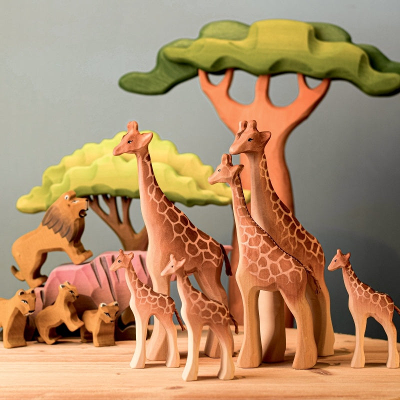 【12/10までの出品】新品　Bumbu Toys モミの木(大) Bumbu Wooden Nature | Acacia Tree Large – littlewhimsy