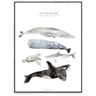 LOVE THIS! Fashionell In the Ocean Poster from Fashionell - shop at littlewhimsy NZ