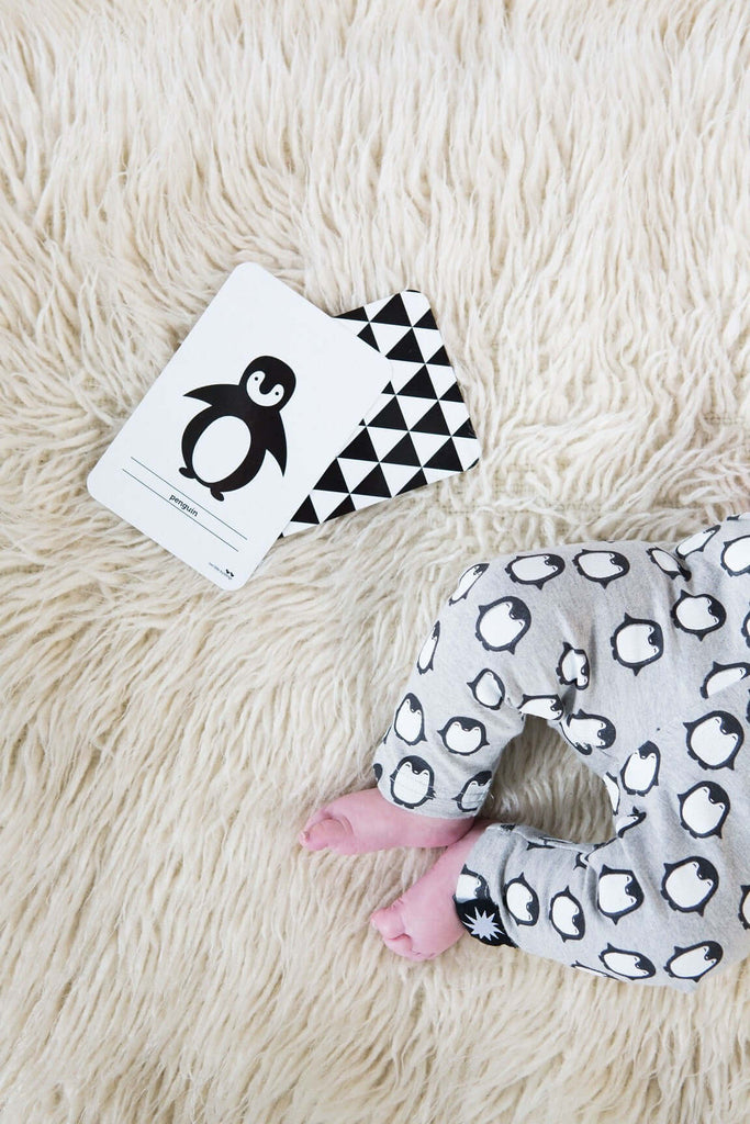 LOVE THIS! Flash Cards - High Contrast from Two Little Ducklings - shop at littlewhimsy NZ