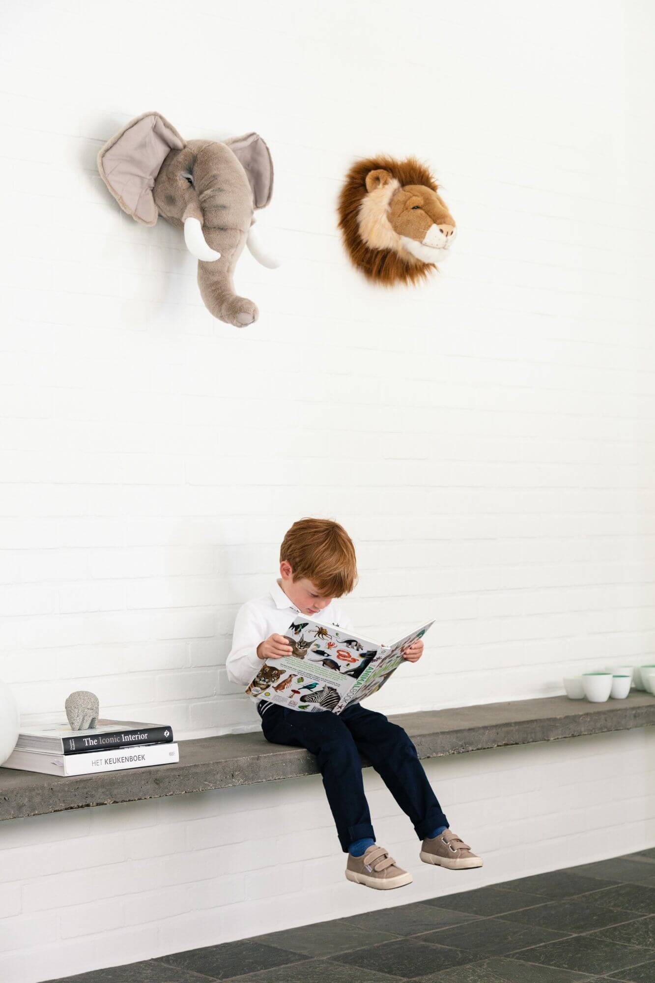 LOVE THIS! Cesar the Lion - Wild & Soft Animal Head Large from Wild & Soft - shop at littlewhimsy NZ