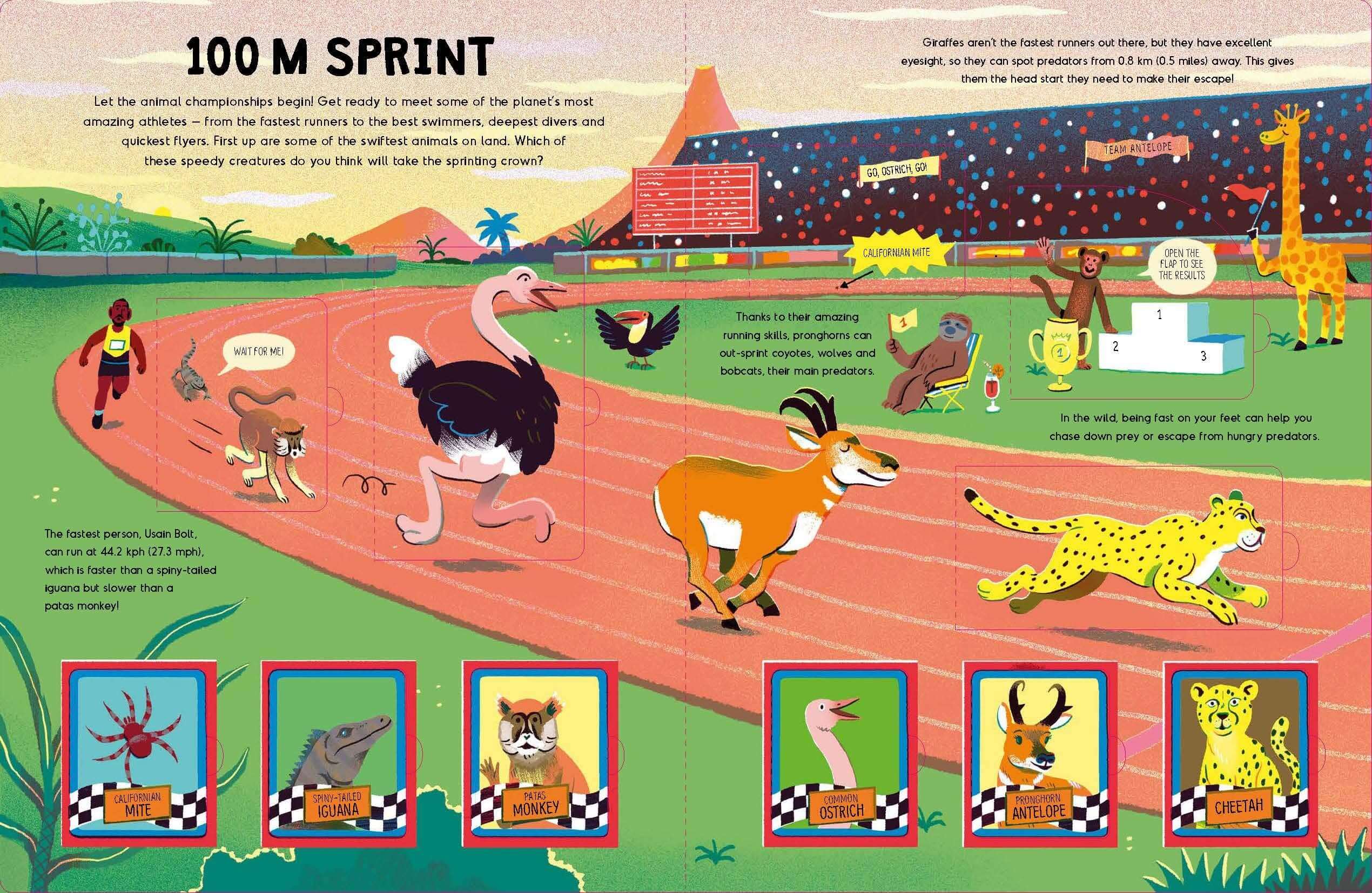 Animal Championships – littlewhimsy