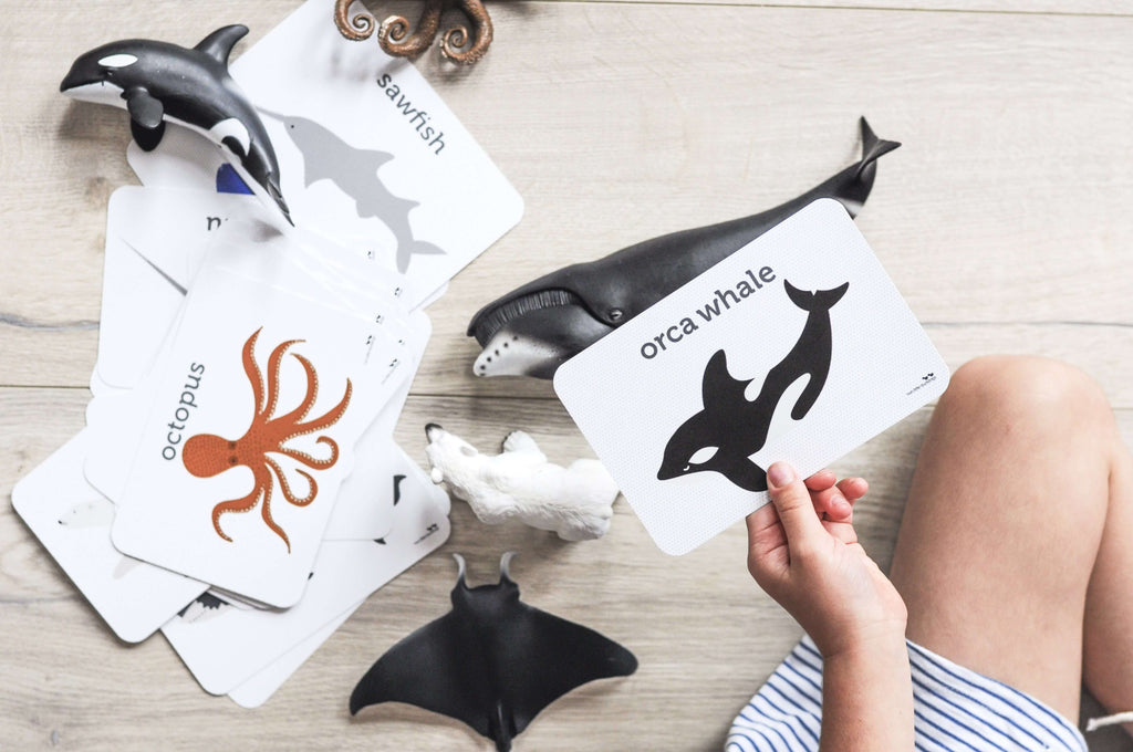 LOVE THIS! Flash Cards - Sea Life from Two Little Ducklings - shop at littlewhimsy NZ