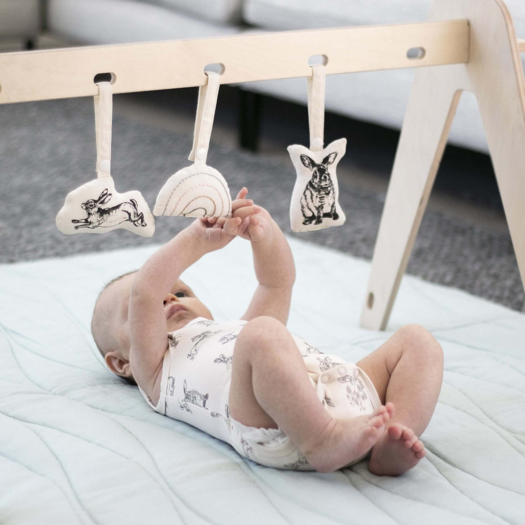 LOVE THIS! Burrowers Rattle Set from Burrow & Be - shop at littlewhimsy NZ