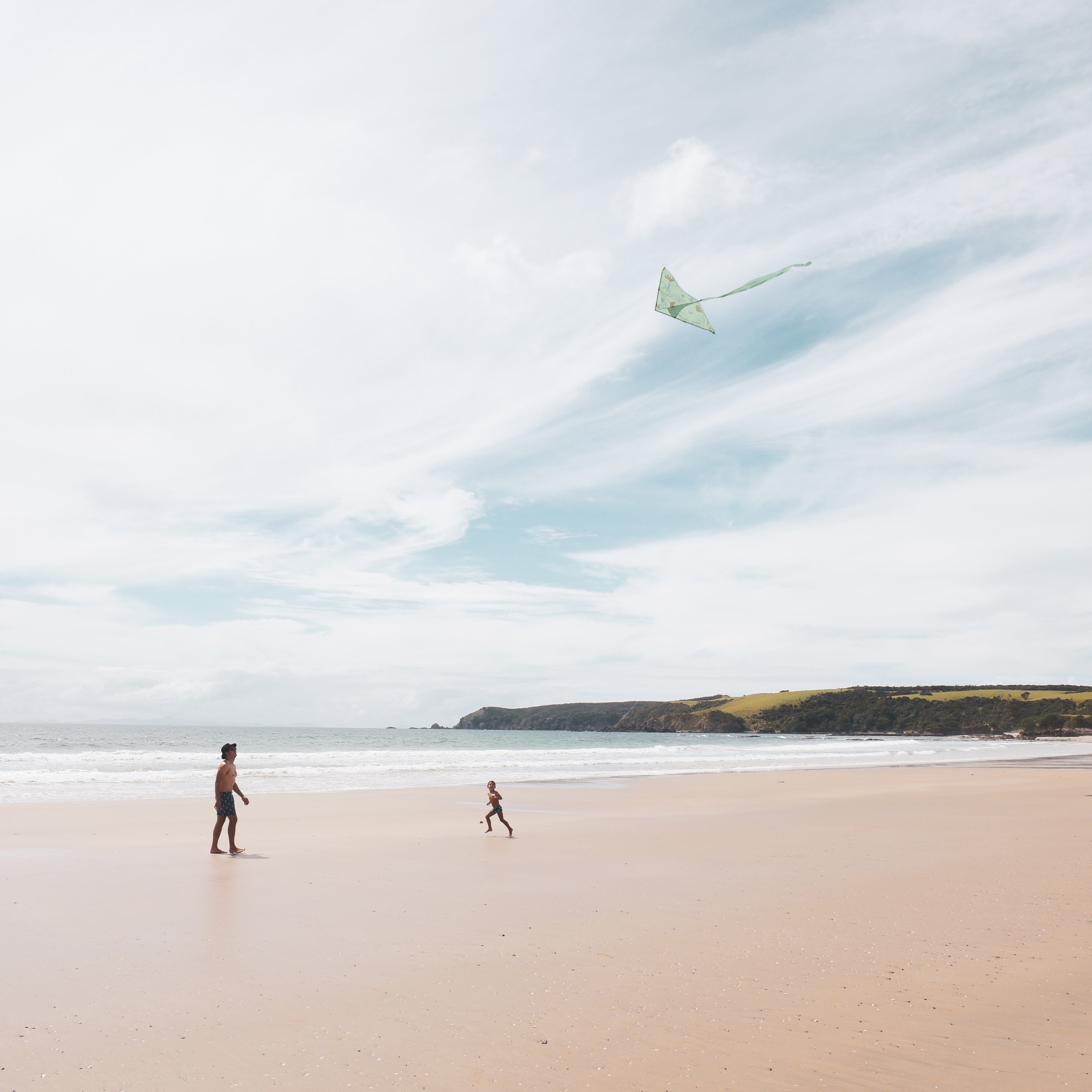 Lofty Kites  Muriwai Beach