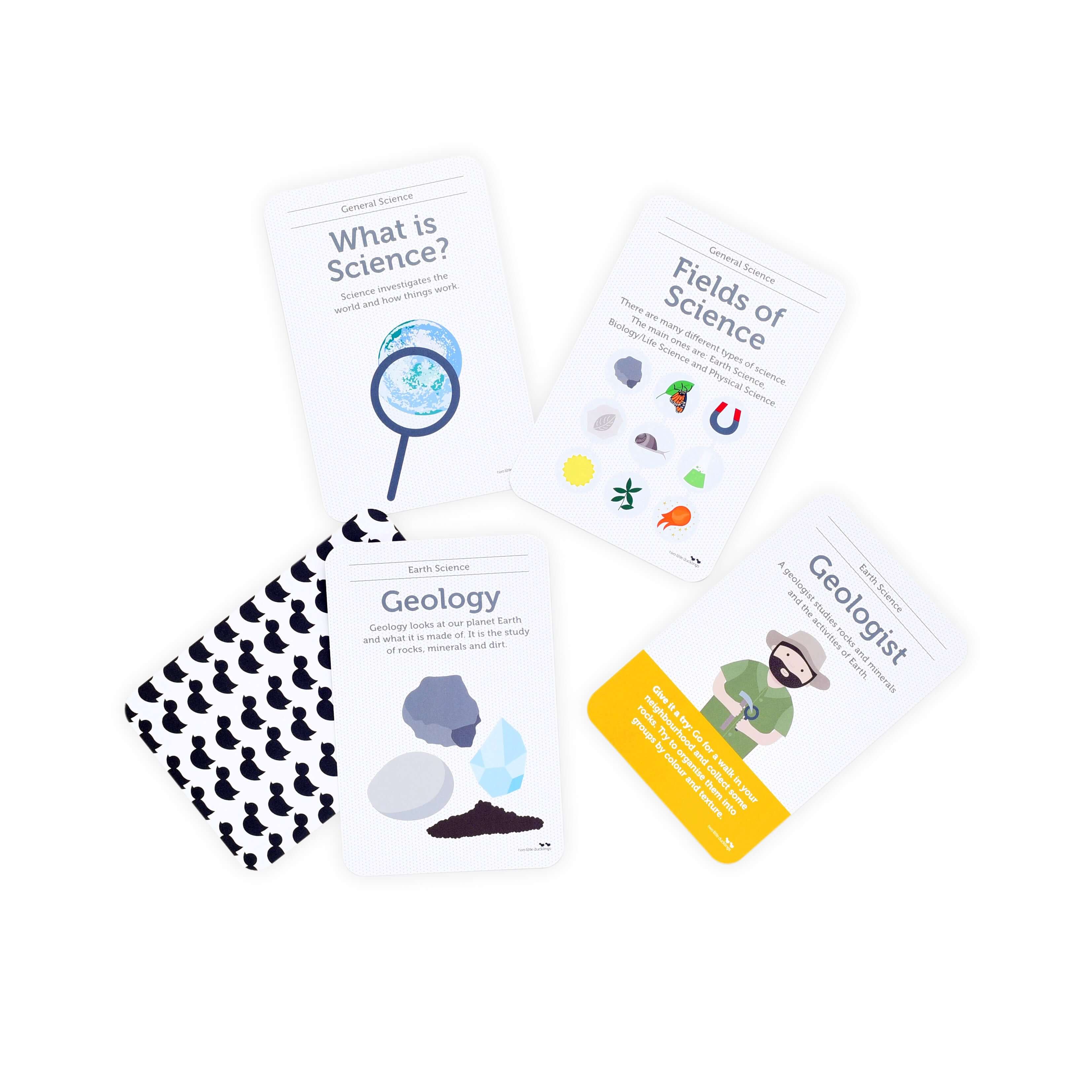 Flash Cards - Science Flash Cards – littlewhimsy
