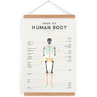 LOVE THIS! Squared Charts - Human Body from Squared Charts - shop at littlewhimsy NZ