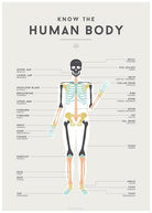 LOVE THIS! Squared Charts - Human Body from Squared Charts - shop at littlewhimsy NZ