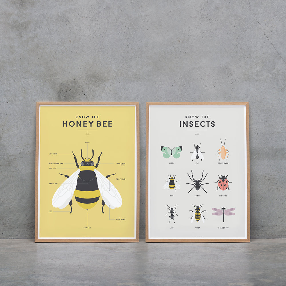 Squared Charts - Insects – littlewhimsy