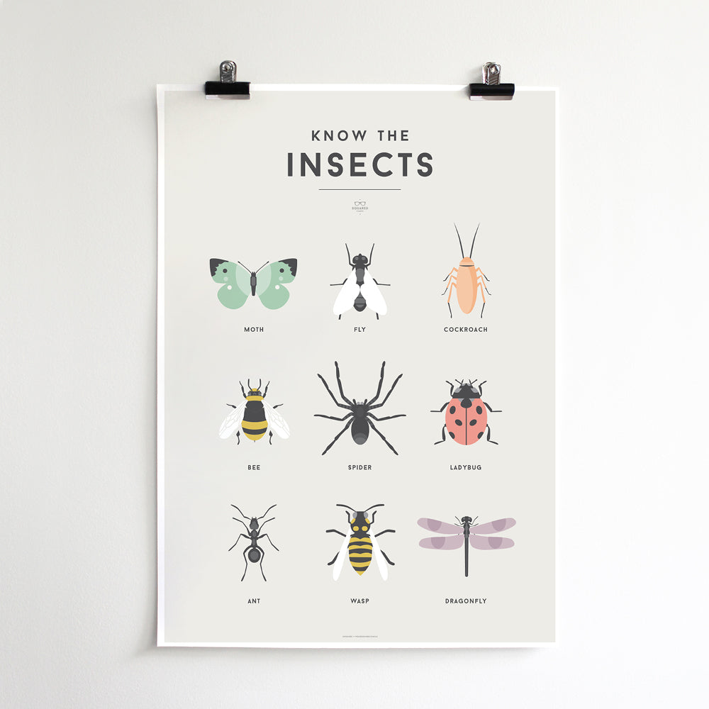 Squared Charts - Insects – littlewhimsy