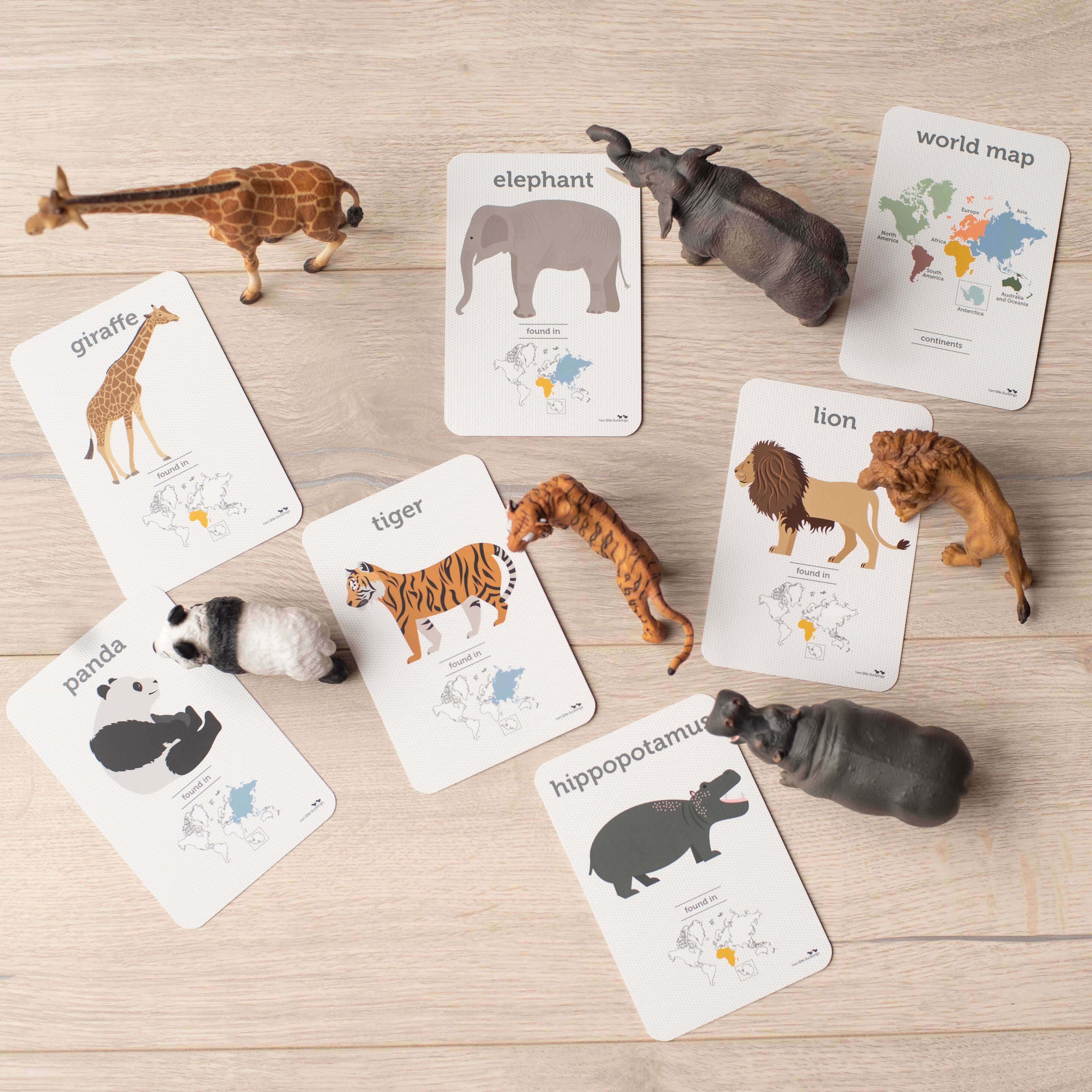 Flash Cards - World Animals – littlewhimsy