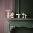 LOVE THIS! Muskhane Mushroom - Large 11cm - Natural from Muskhane France - shop at littlewhimsy NZ