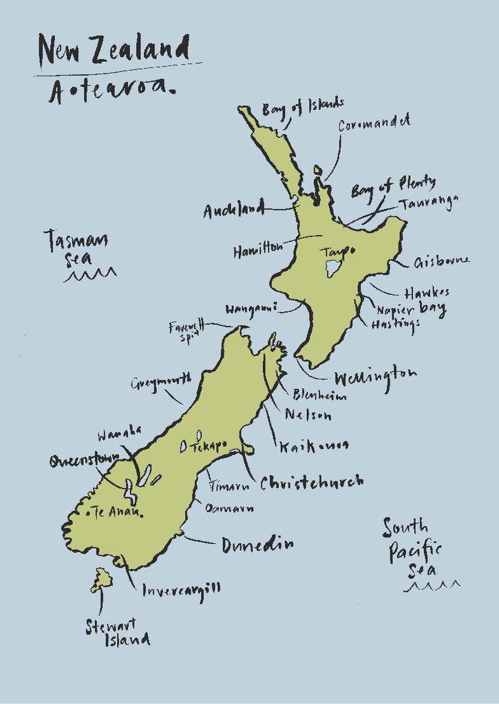 LOVE THIS! NZ Map Decal - Reusable from 100 Percent Heart - shop at littlewhimsy NZ